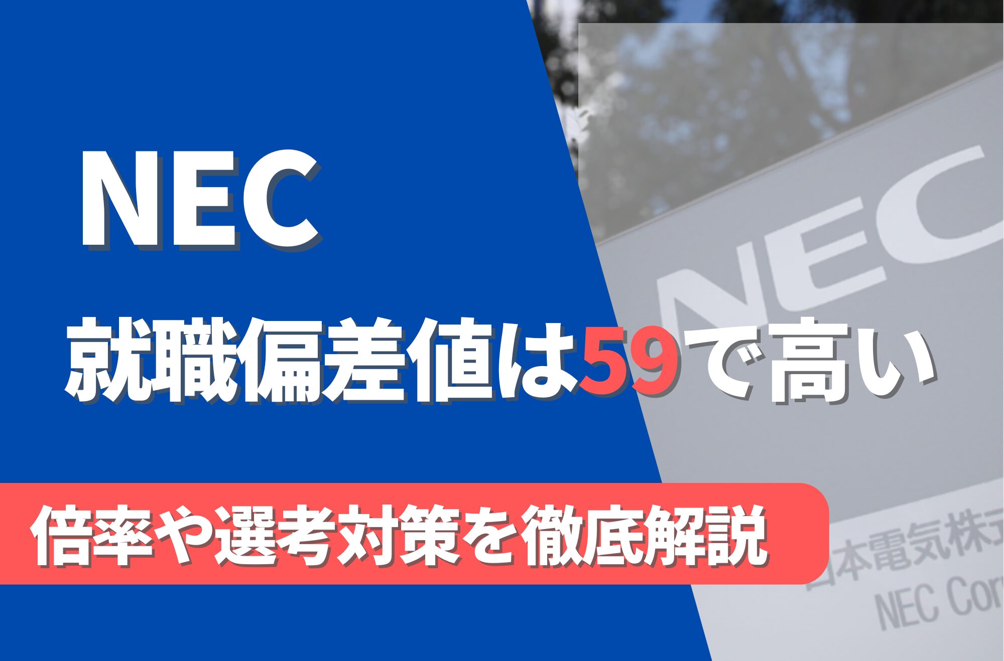 nec 就職 難易 度